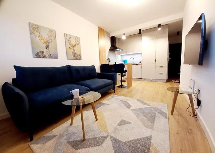 Neoapartments Lotnicza アパート *