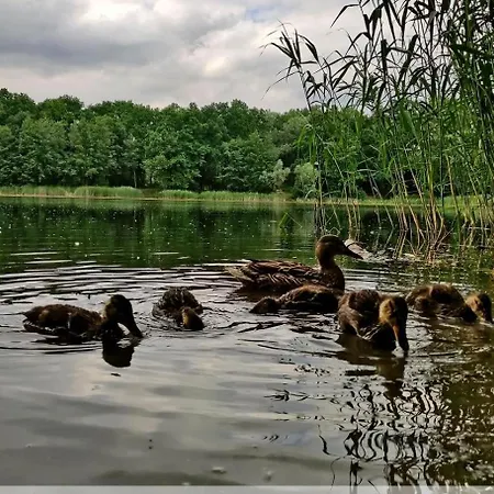 Neoapartments Lotnicza Apartament