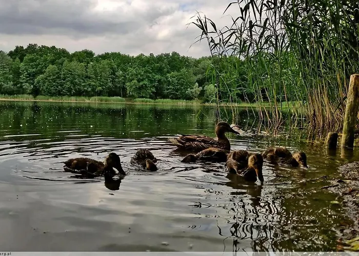 Neoapartments Lotnicza דירה